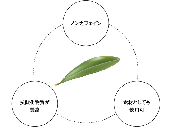 ノンカフェイン、抗酸化物質が豊富、食材としても使用可